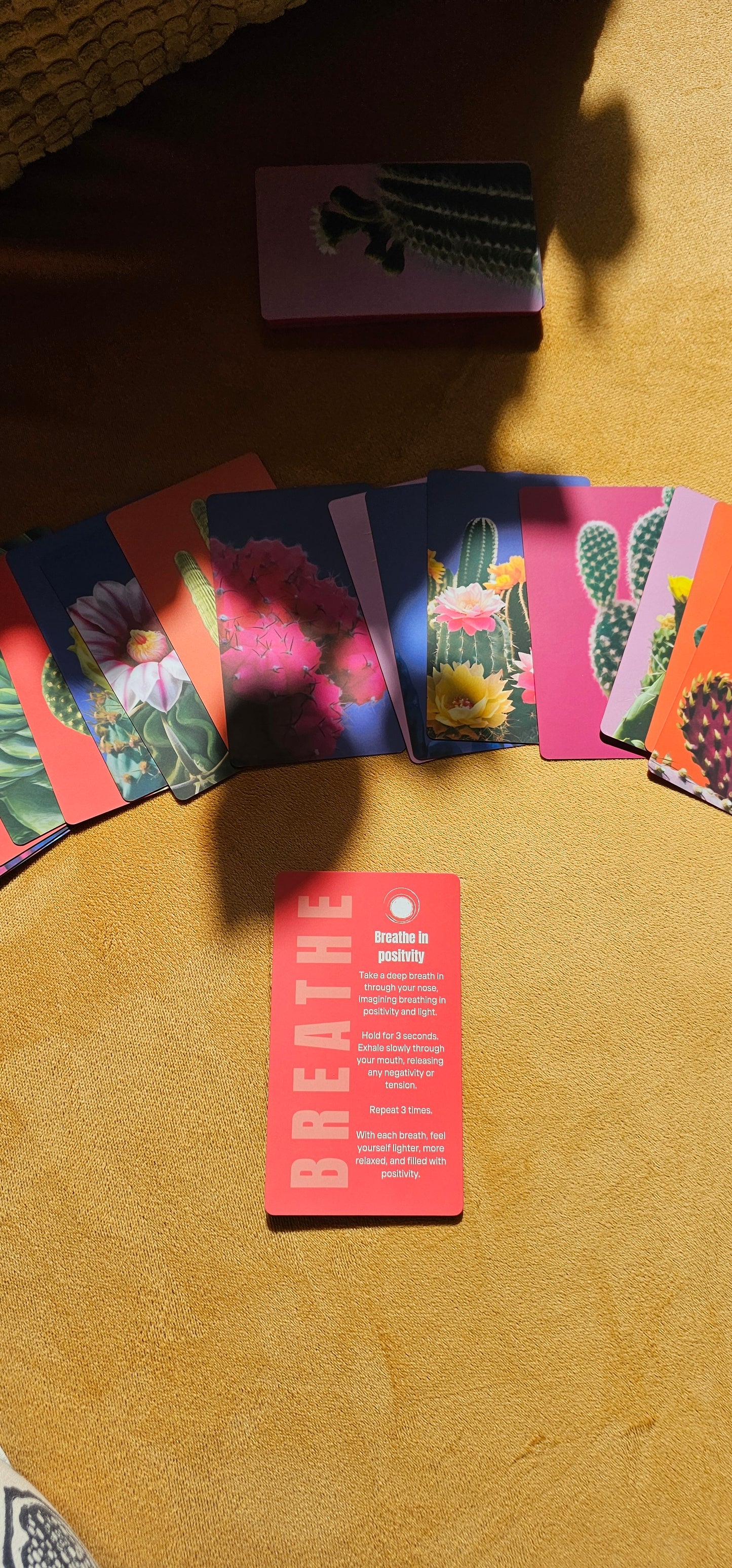 Dare to Joy Kit