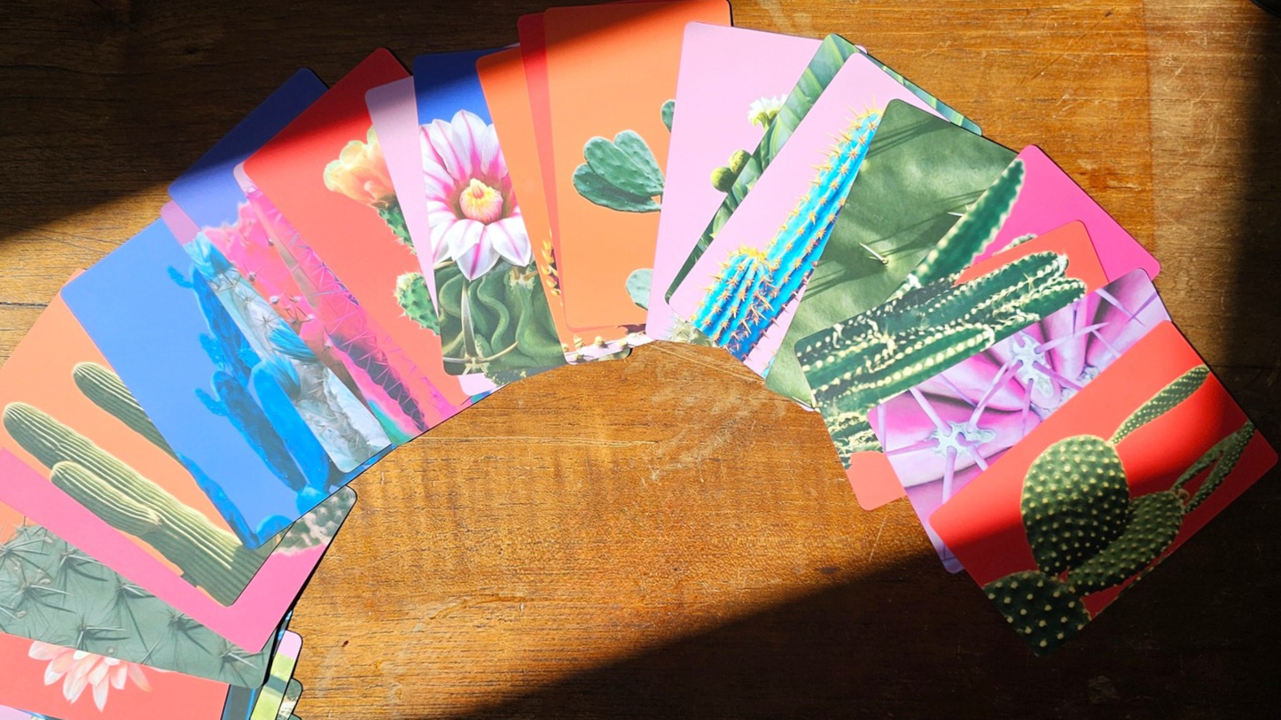 Dare to Joy Kit